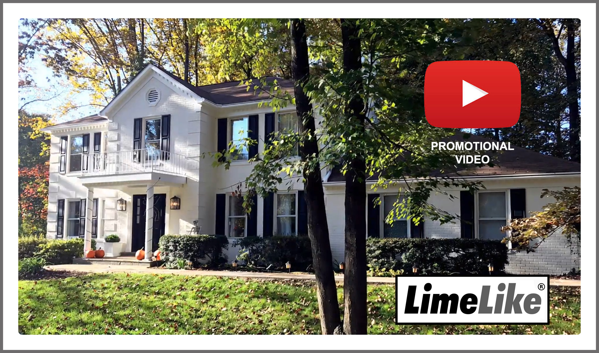 LiemLike Promotional Video